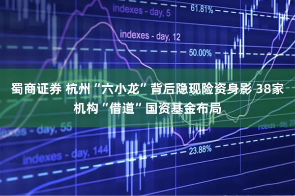 蜀商证券 杭州“六小龙”背后隐现险资身影 38家机构“借道”国资基金布局