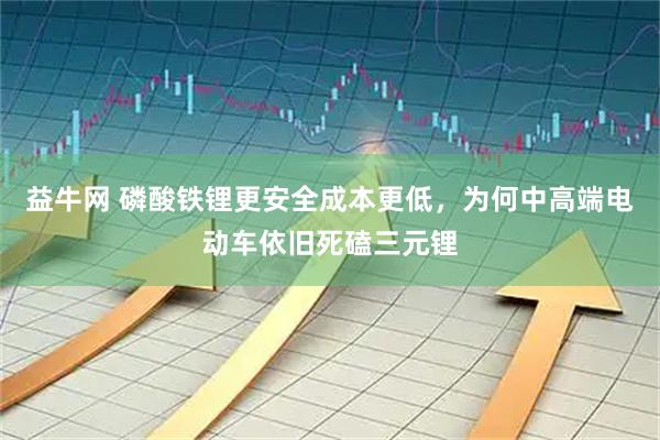 益牛网 磷酸铁锂更安全成本更低，为何中高端电动车依旧死磕三元锂