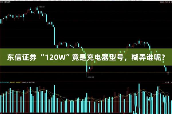 东信证券 “120W”竟是充电器型号，糊弄谁呢？