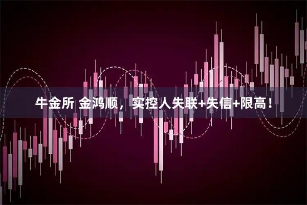 牛金所 金鸿顺，实控人失联+失信+限高！