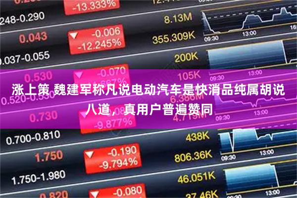 涨上策 魏建军称凡说电动汽车是快消品纯属胡说八道，真用户普遍赞同