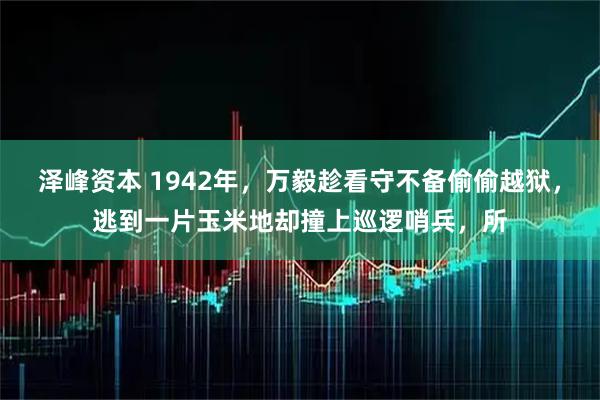 泽峰资本 1942年，万毅趁看守不备偷偷越狱，逃到一片玉米地却撞上巡逻哨兵，所