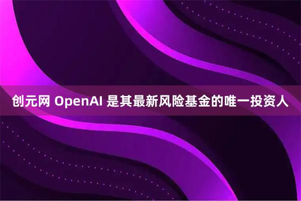 创元网 OpenAI 是其最新风险基金的唯一投资人